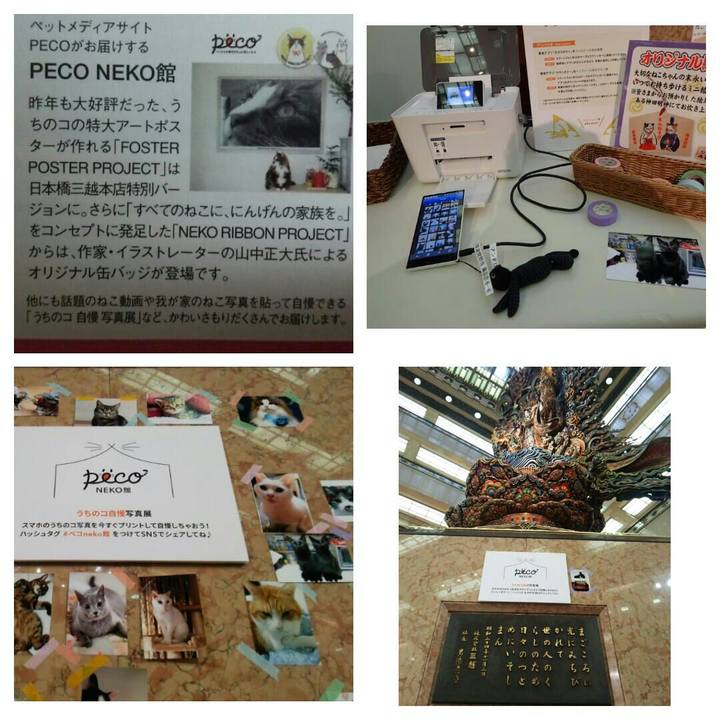 6d168217 1052 4390 aba2 058c9c3bd2b3