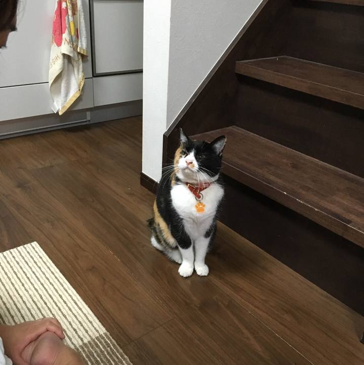 6d16b30f 56b8 4a5e 928b 8afdc97c21e5