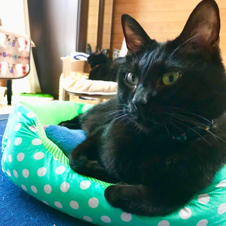 6d16dcb4 ba0f 4068 a829 dc4596bc932e