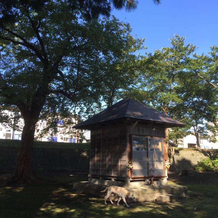 6d181f6c 2ce0 4e31 a5b4 a1727532f23d