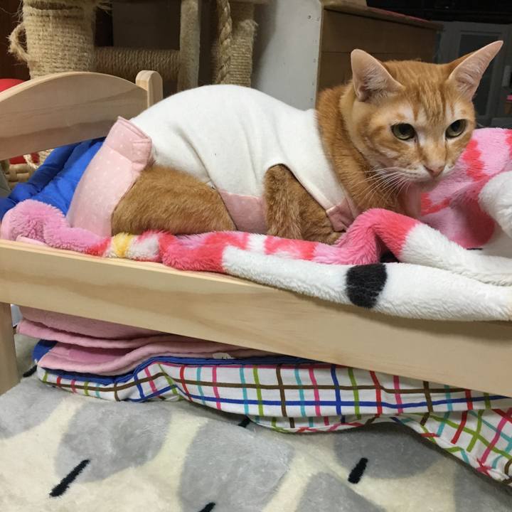 6d183b24 ad06 4cc2 8ed1 ca32ed06e08e