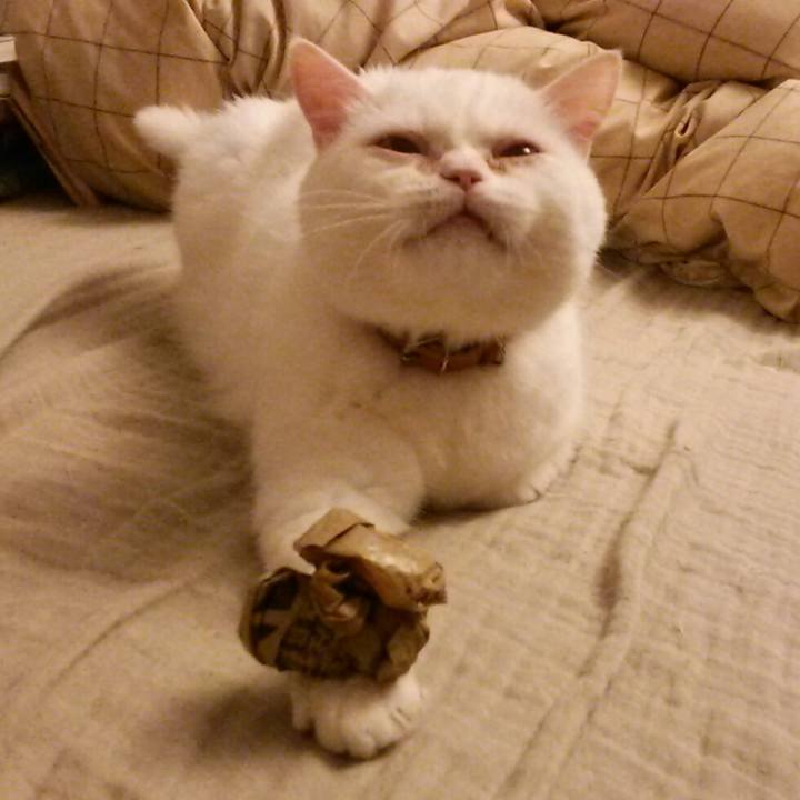 6d18a8ad defd 49a3 a1c0 4b56748e477e