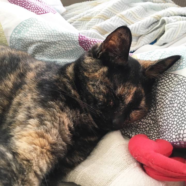 6d18cbf2 b6b1 42d7 b7bf 54011ab80578