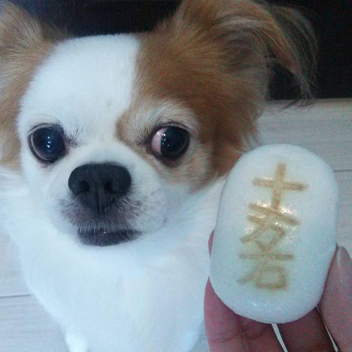 6d1987c0 662a 4420 be19 e52907874181