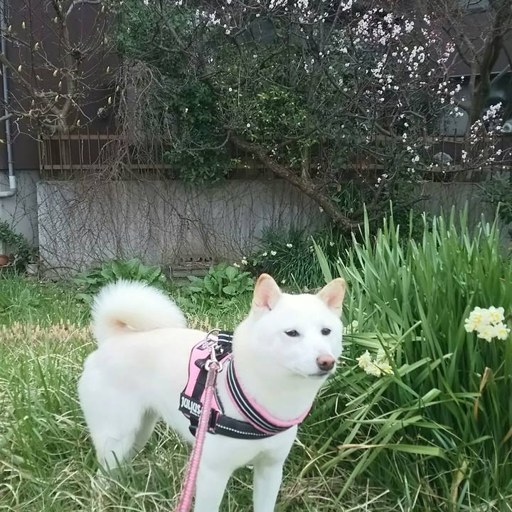 6d1a0799 a59a 483a 930f 3ba6d0627863