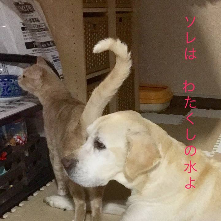 6d1a1160 f879 40fa 921a 4feff4db3b0b