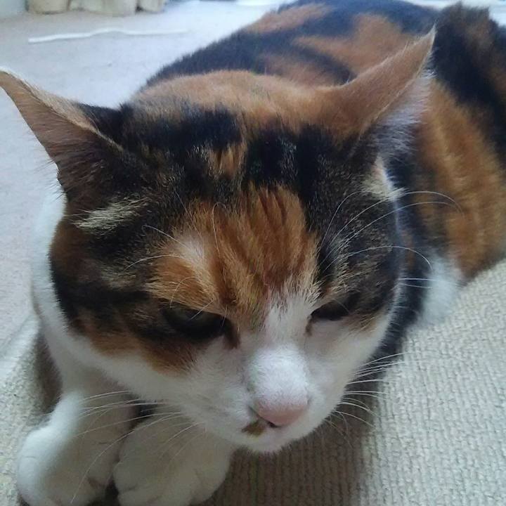 6d1a6a6c ab9c 49f0 9a47 4c1a68aca285