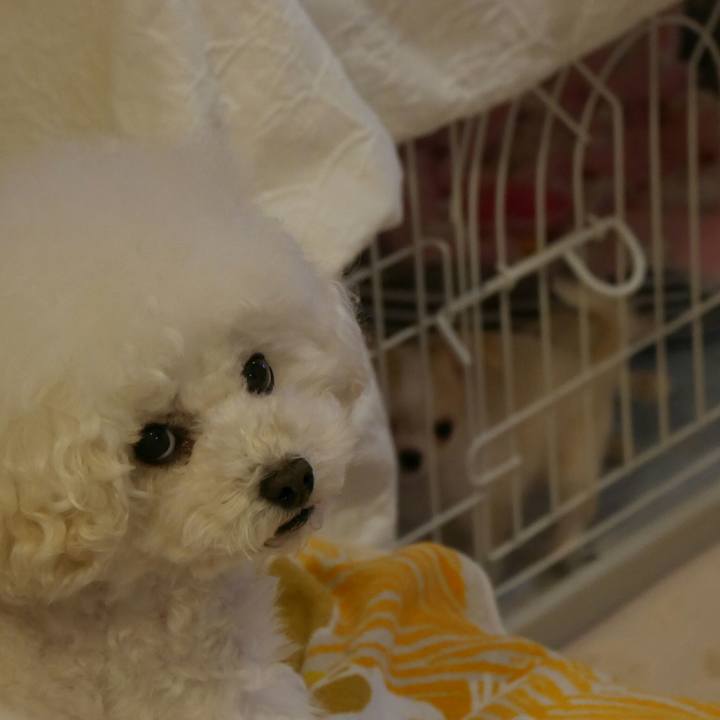 6d1b57bd 0e7e 4d04 be06 fe7b6d201f6a