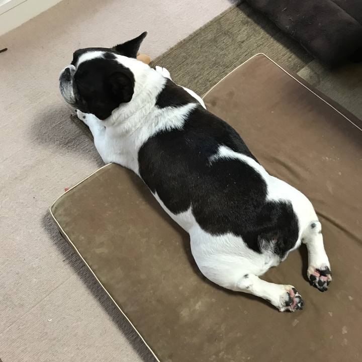 6d1bcf2b a423 45df a149 7ac486a59650