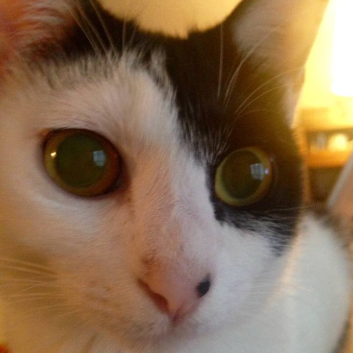 6d1c6cf3 a675 43f2 b919 290da537775a