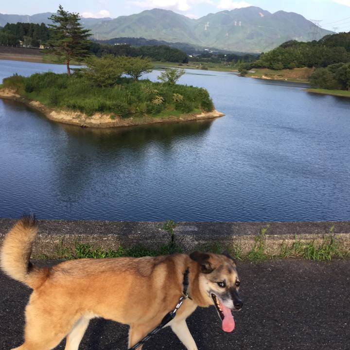 6d1c823f 3f7a 45c5 82d6 4f86797c660a