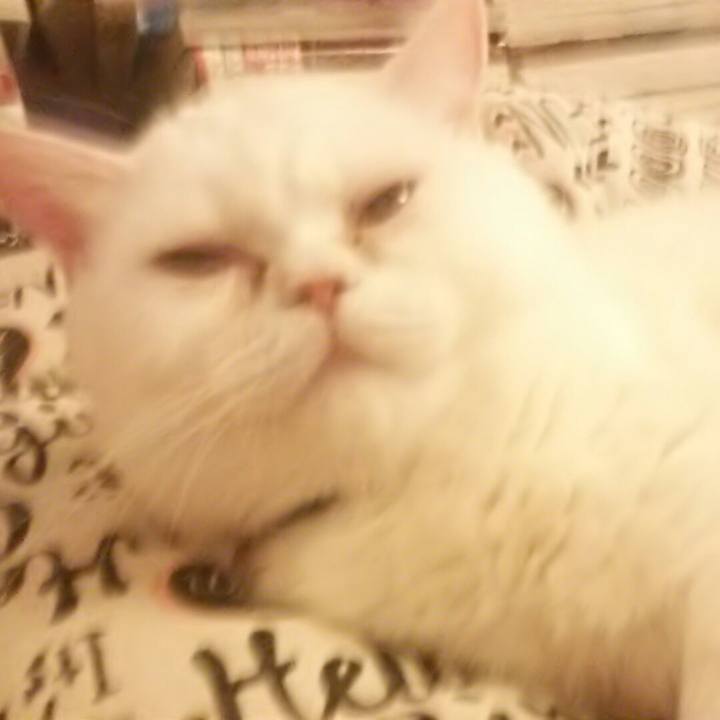 6d1c8710 49f2 4e11 bfe0 57f560bc2c95