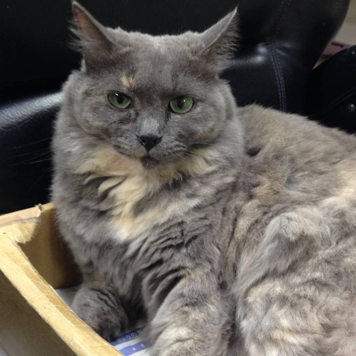 6d1dc4ec 839a 4efc b917 e7f287d5db49