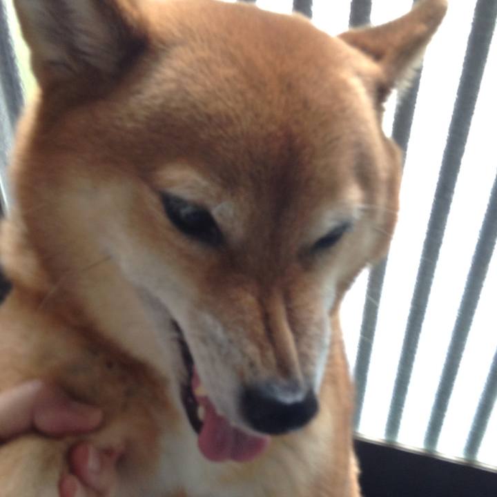 6d1dfe3a a270 4685 9d5b cc5dc81ac1b6