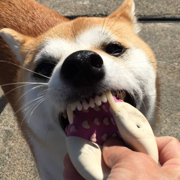 6d1e16de d401 4f23 8ed8 04093d4b6aff