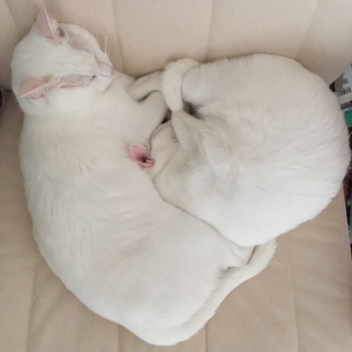 6d1e488e f985 4abd 9202 f04050b45a1a