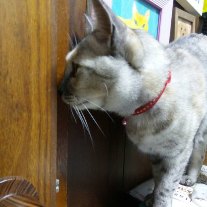 6d1effb0 e1f0 4d74 b5fc ab98a674474a