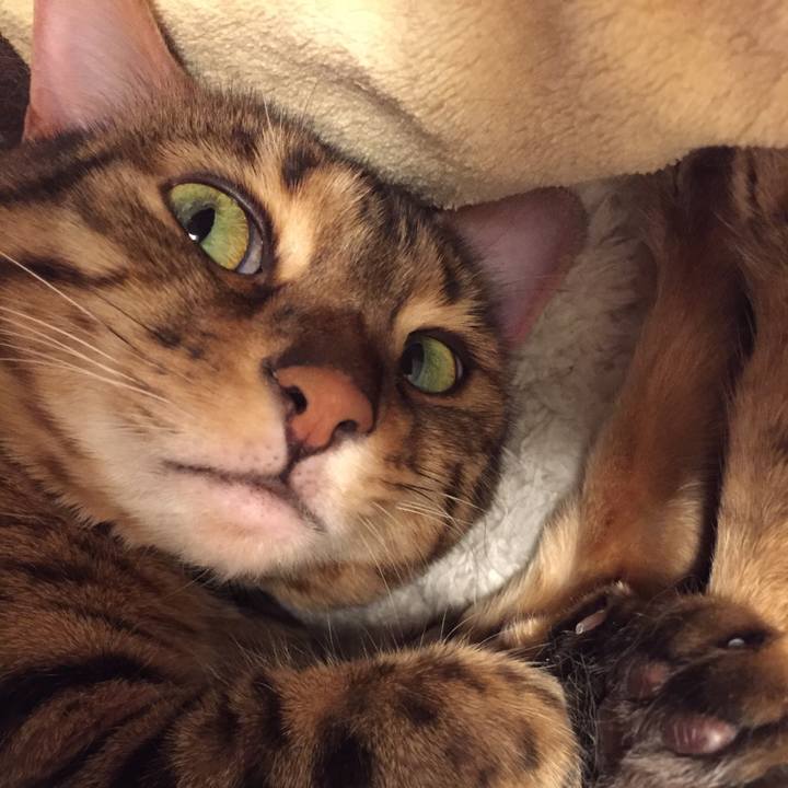 6d1f243a 43f4 4733 9a07 b30c115964eb