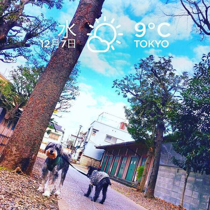 6d1f3fc9 e145 4f0a a0b7 91d5c75fe33d