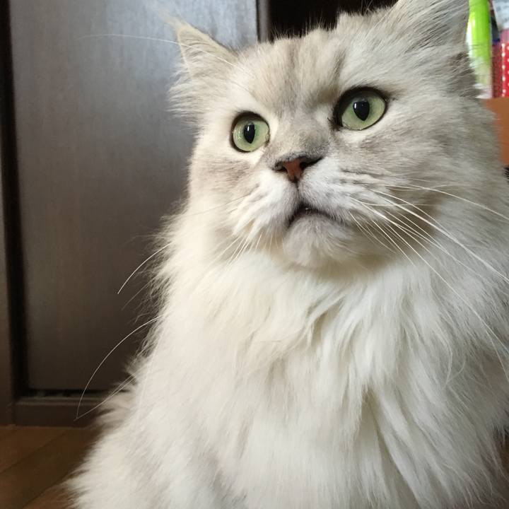 6d1f493d b2fd 4bff b0c6 ff423c446759