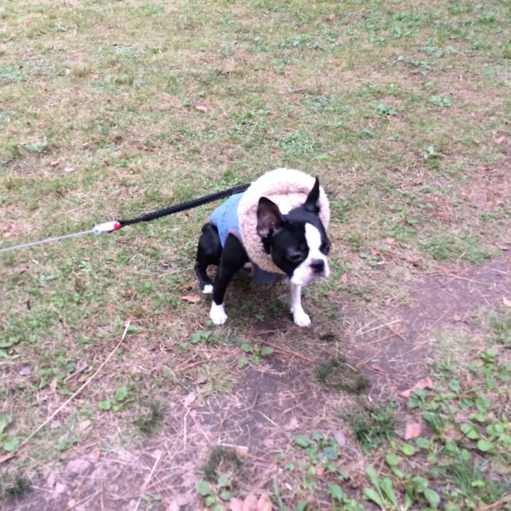 6d1f575d 8255 4101 b214 f4de87e2f43a