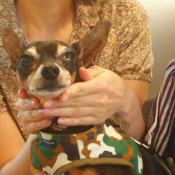 6d1f5c36 5493 41f2 91ed 746184218cc8