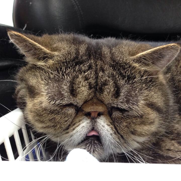 6d1f642d 6c7a 4822 aeb3 d08e62655064