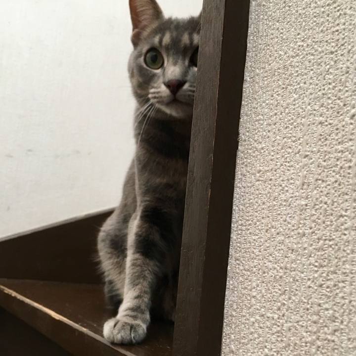 6d1fbc38 e2be 42b0 b911 a7878f2df8ad