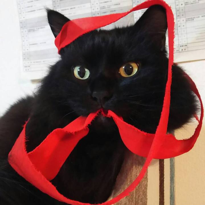 6d20045a 5bc1 4df0 be22 9cfd1ae7d972