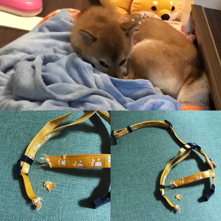 6d20274a c0c5 4649 adb1 b0b53f78dba5