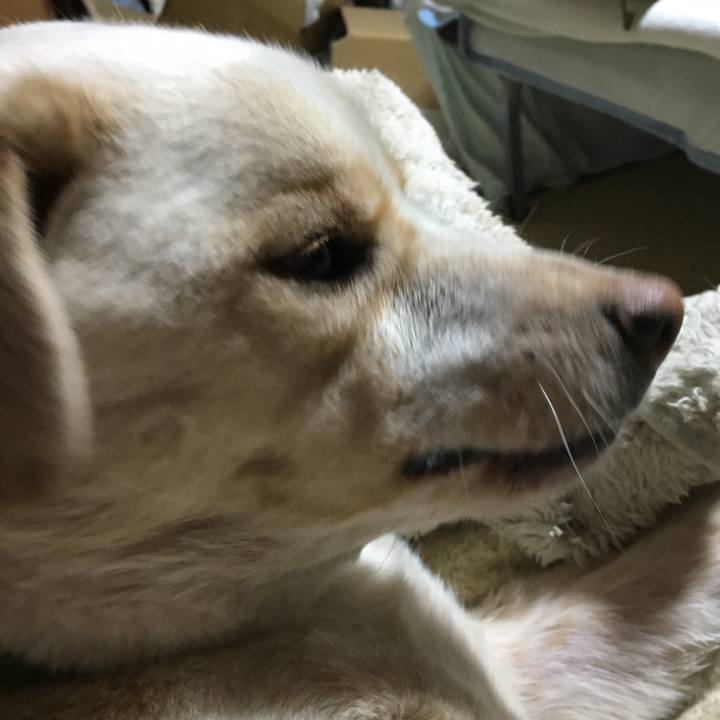 6d202f7e fead 4497 a2a1 6fce6be4f3a3