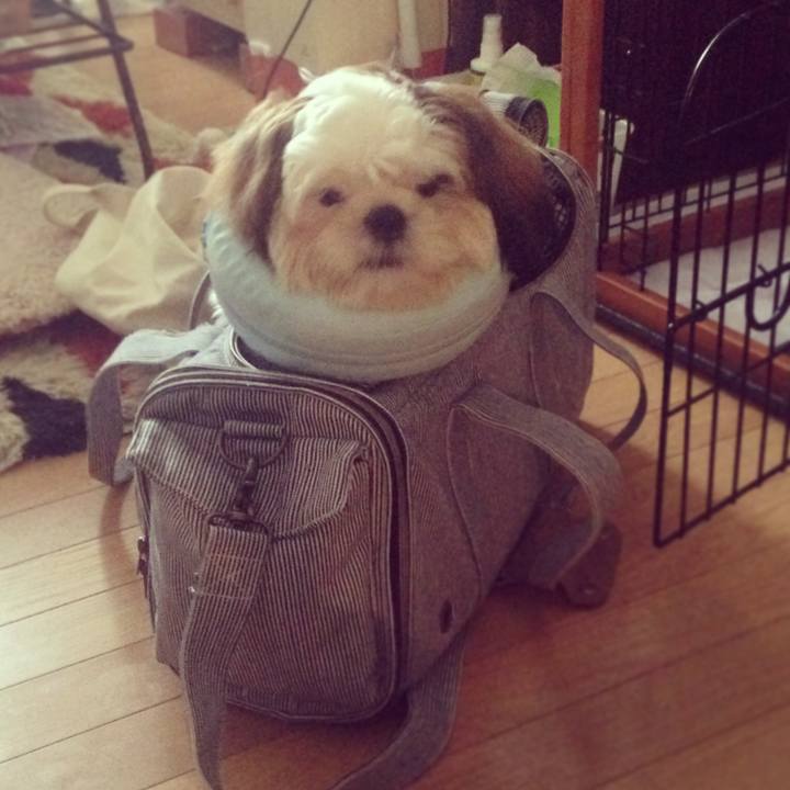 6d2183b7 ce83 4c74 bcbe 6248985d8e5b