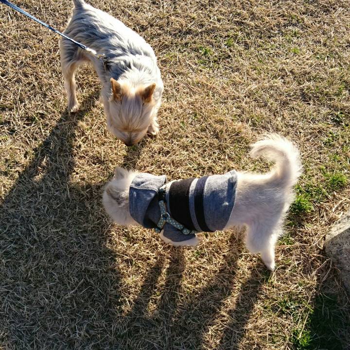 6d21f15d c949 4a4b 9a11 e2d5b22b0e49