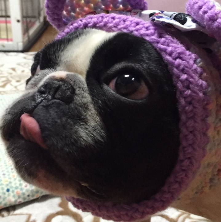 6d2234bb cb3b 4acc 842c 0bdecfc97308