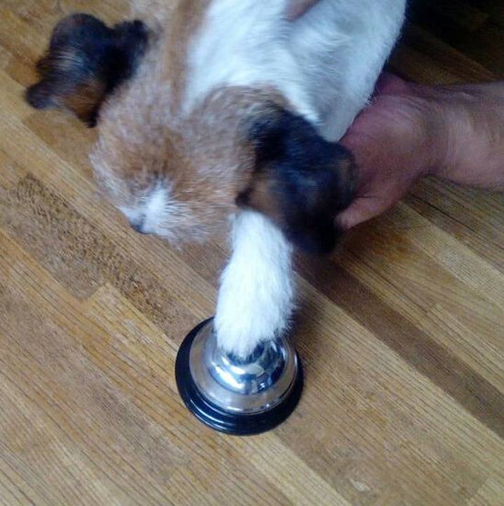 6d227eb1 f6c8 441d 8780 036801e596c4