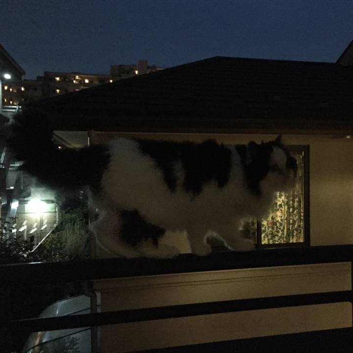 6d228f2c bc18 4b8c 85fa 03c468ac3857