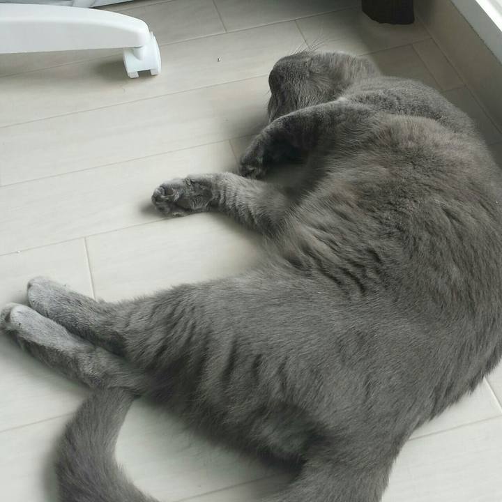 6d236469 7b45 45cf b3c3 2141f94815df