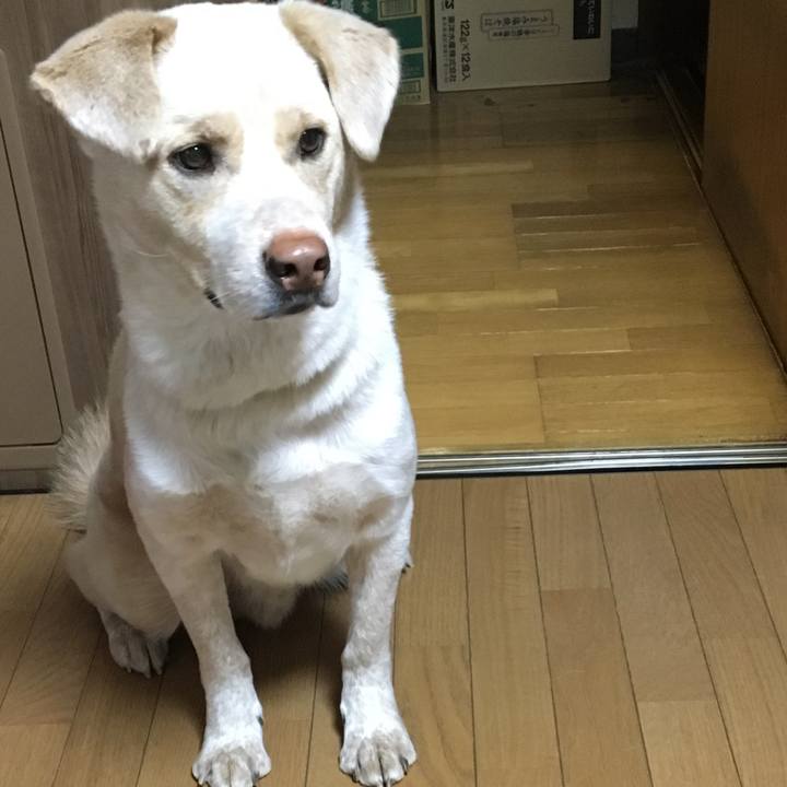 6d241349 acdb 49da 9ee7 c0f2508396b0