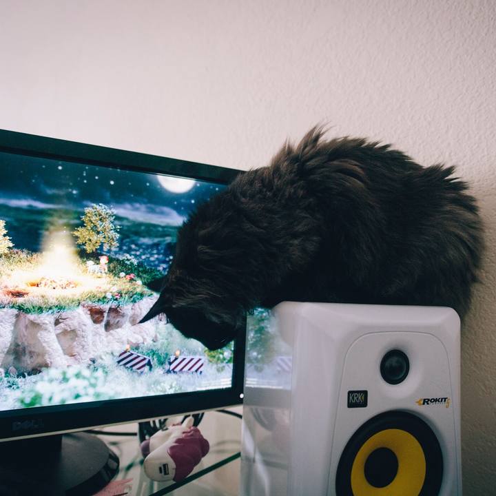 6d241a84 8f3e 43dd 9c3d 1d3ed4242ccb