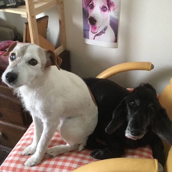 6d247a68 e62d 4f0b b1a2 ef0d5cf97777