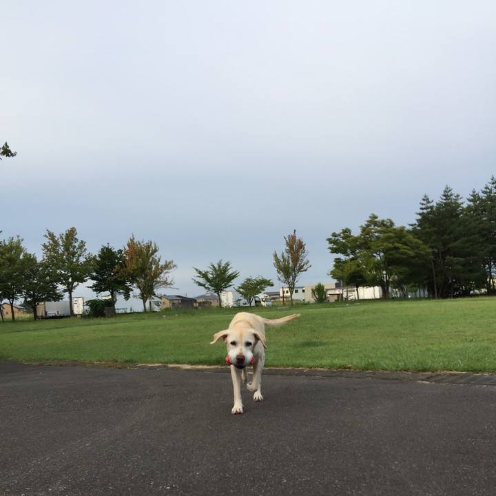 6d24a38f 567b 4152 9383 dbfbb1dfc058