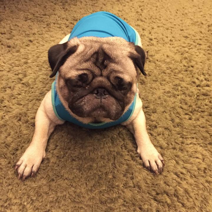 6d24bab3 04ac 4326 9203 48edc11c43ba