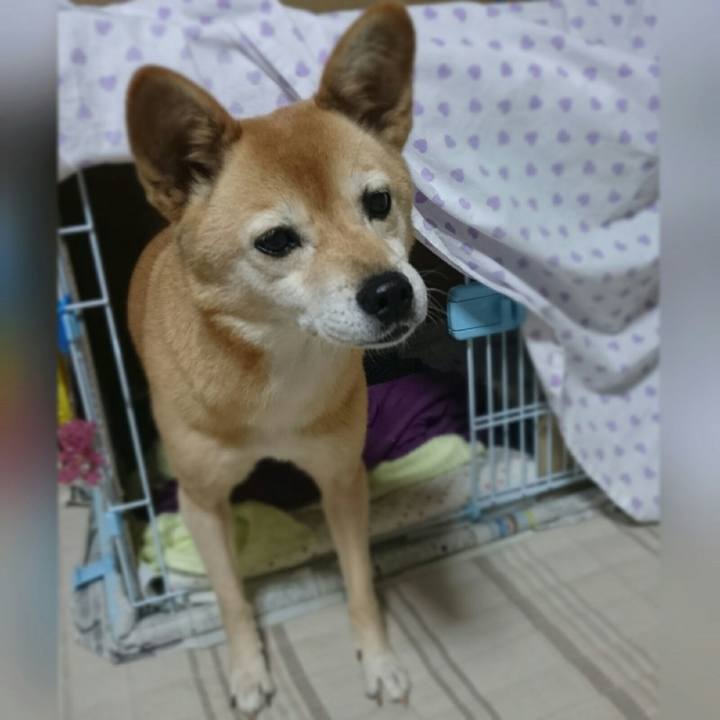 6d255867 5a3e 4732 9b8d cff4fdce3b68