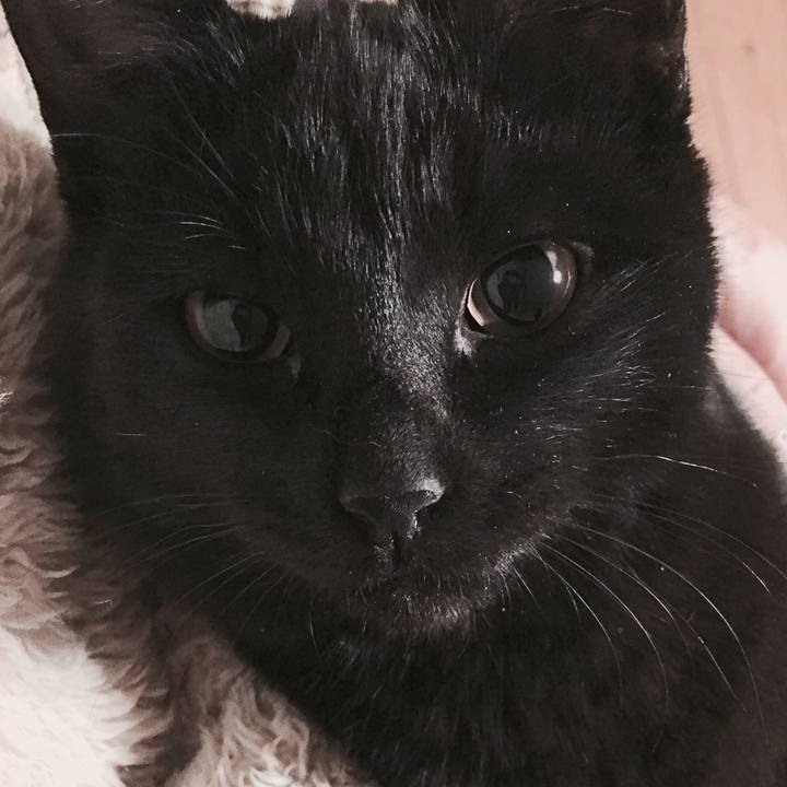 6d255ab5 c1ab 4068 a453 6f2256314905