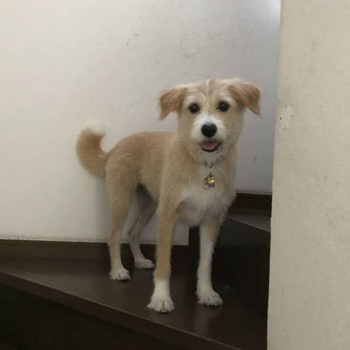 6d264c74 ba2e 482c 8081 c91df0a1e986