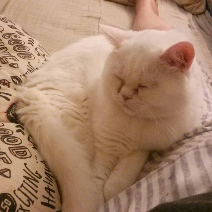 6d269d2d dfb0 4b34 a4b7 d551185c6699