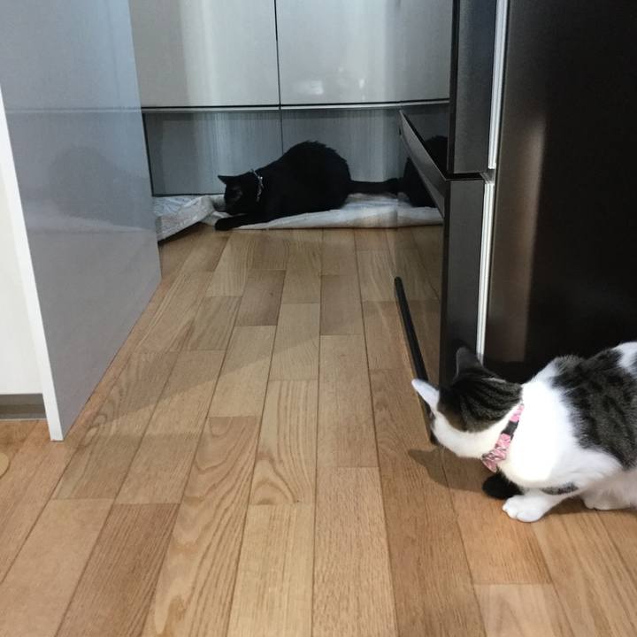 6d2769c6 8436 48a6 96b6 e9184558f08d