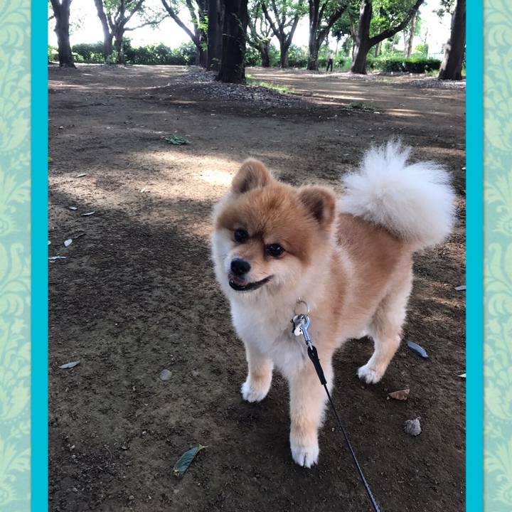 6d283af0 008d 46f7 b2a5 766c32e81490