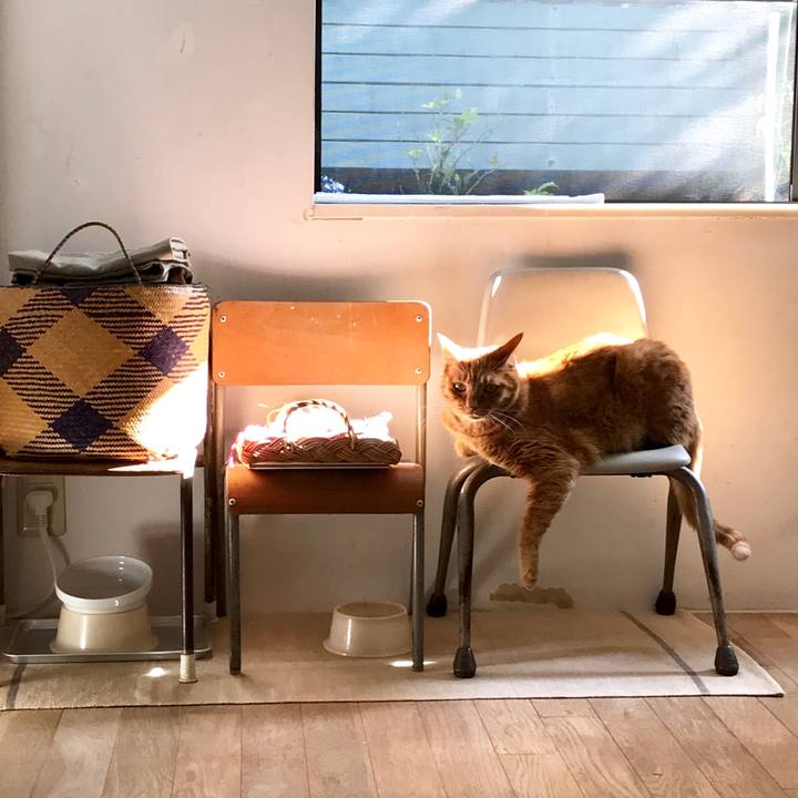 6d28c171 a895 46f6 b6e4 b18427eabccd