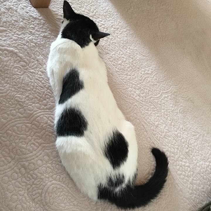 6d28ef08 7d68 42ca b2da 76141c0c3b73